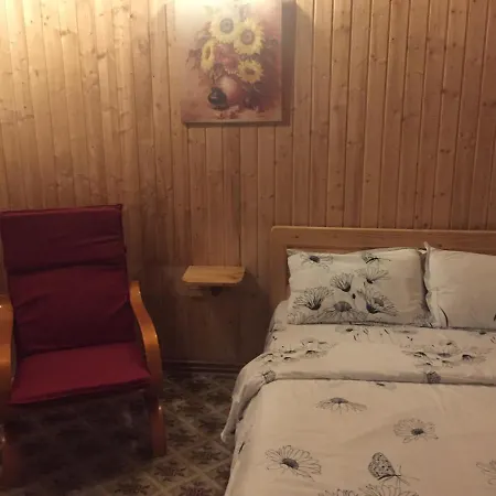 Πανσιόν Ancutei