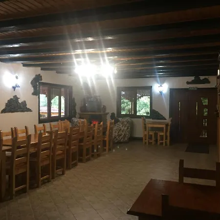 Πανσιόν Ancutei