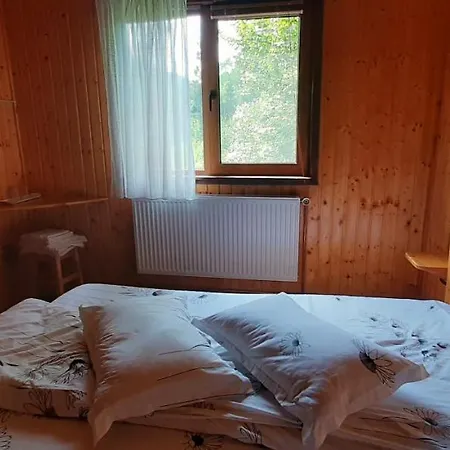 Ancutei Πανσιόν 3*