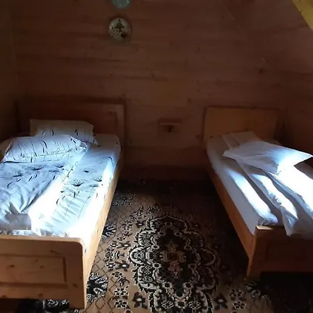 Ancutei Πανσιόν