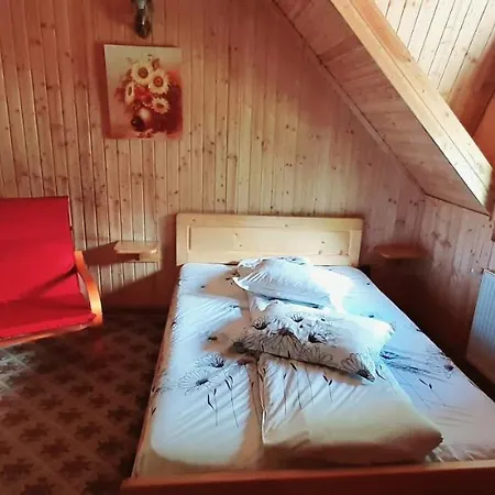 Ancutei Πανσιόν 3*