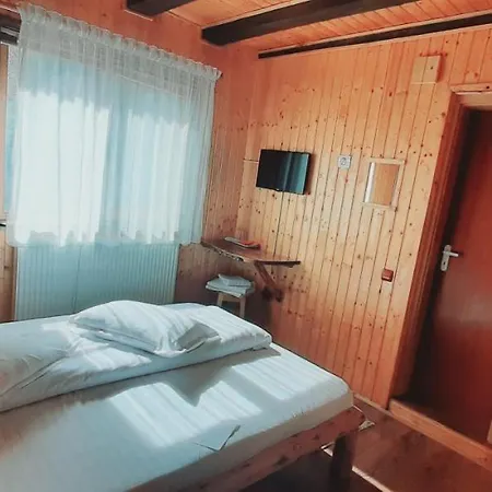 Ancutei Πανσιόν Rucăr